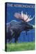 The Adirondacks - Moose at Night-Lantern Press-Stretched Canvas