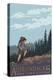 The Adirondacks, New York State - Hiking Scene-Lantern Press-Stretched Canvas