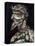 The Admiral-Giuseppe Arcimboldo-Premier Image Canvas