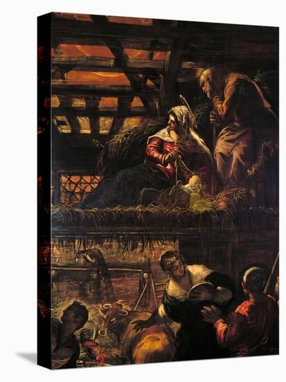 The Adoration of the Shepherds (Nativity)-Jacopo Robusti Tintoretto-Premier Image Canvas