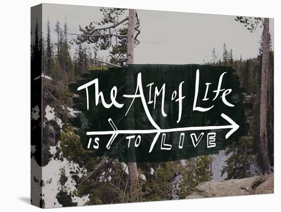 The Aim of Life-Leah Flores-Premier Image Canvas