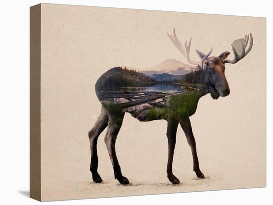 The Alaskan Bull Moose-Davies Babies-Stretched Canvas