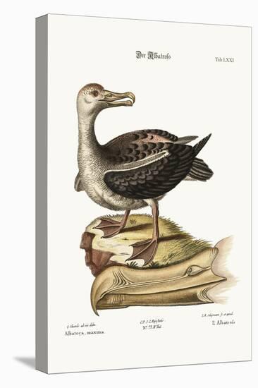 The Albatross, 1749-73-George Edwards-Premier Image Canvas