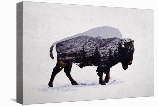 The American Bison-Davies Babies-Stretched Canvas