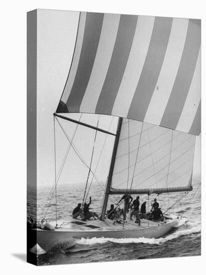 The American Eagle During America's Cup Race-George Silk-Premier Image Canvas