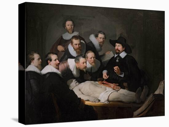 The Anatomy Lesson of Dr. Nicolaes Tulp, 1632-Rembrandt van Rijn-Premier Image Canvas