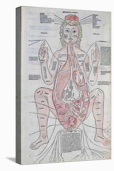 The Anatomy of the Pregnant Woman, Illustration from 'Fasciculus Medicinae' by Johannes De Ketham-Italian School-Premier Image Canvas