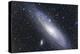 The Andromeda Galaxy-null-Premier Image Canvas