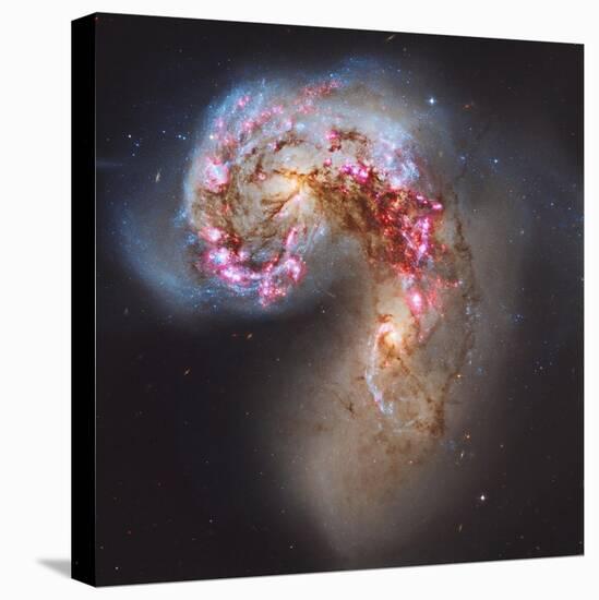 The Antennae Galaxies-null-Premier Image Canvas