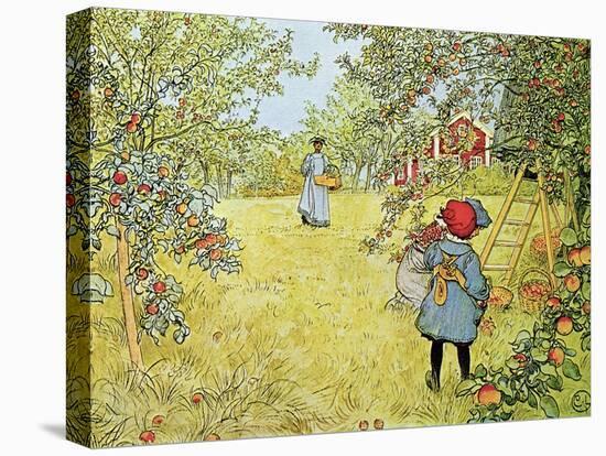 The Apple Harvest-Carl Larsson-Premier Image Canvas