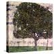 The Apple Tree, 1916-Gustav Klimt-Premier Image Canvas