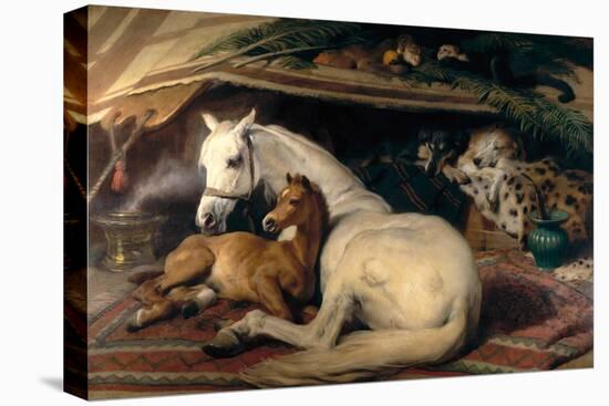 The Arab Tent, 1866-Edwin Henry Landseer-Stretched Canvas