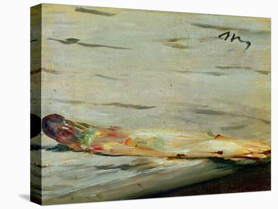 The Asparagus, 1880-Edouard Manet-Premier Image Canvas