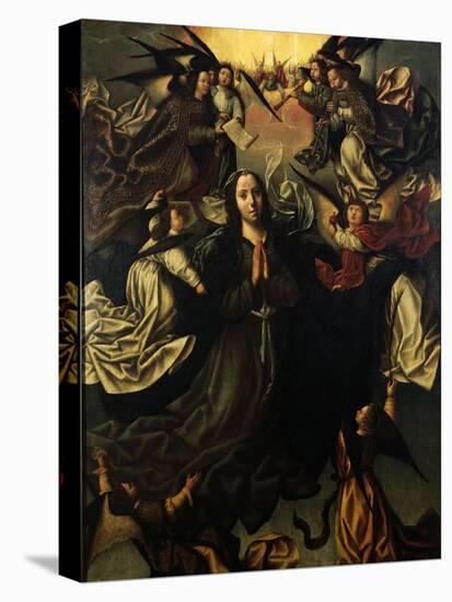 The Assumption of the Blessed Virgin Mary-Vasco Fernandes-Premier Image Canvas