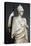 The Athena Giustiniani. Roman Copy of a Greek Statue of Pallas Athena. 2nd Century. Detail-null-Premier Image Canvas