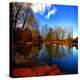 The Autumn in Winter-Philippe Sainte-Laudy-Premier Image Canvas