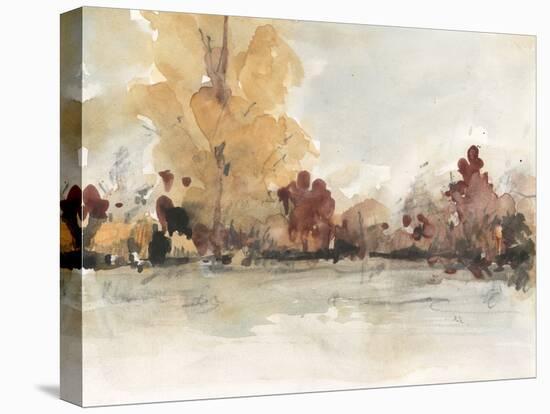 The Autumn View I-Samuel Dixon-Stretched Canvas