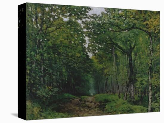 The Avenue of Chestnut Trees at La Celle-Saint-Cloud, 1867-Alfred Sisley-Premier Image Canvas