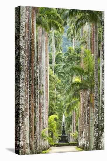 The Avenue of Royal Palms, Rio De Janeiro Botanical Garden.-Jon Hicks-Premier Image Canvas