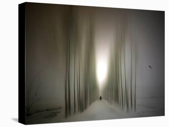 The Avenue-Josh Adamski-Premier Image Canvas