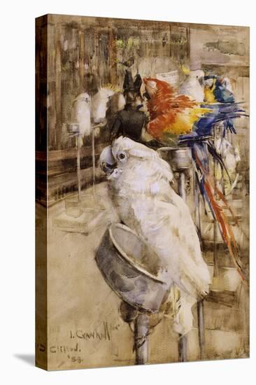 The Aviary, Clifton, 1888-Joseph Crawhall-Premier Image Canvas