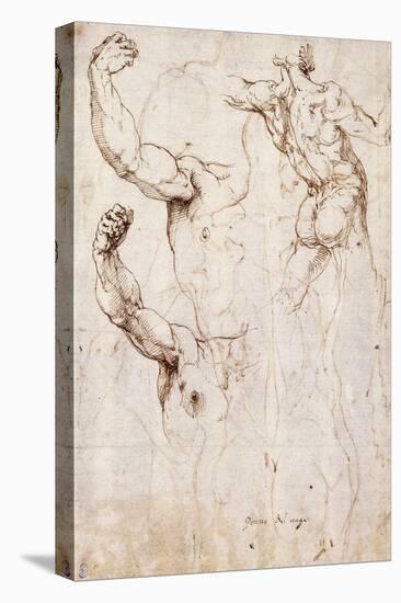 The Back of a Nude and Two Studies of a Raised Arm and Shoulder, Seen from the Front-Perino Del Vaga-Premier Image Canvas