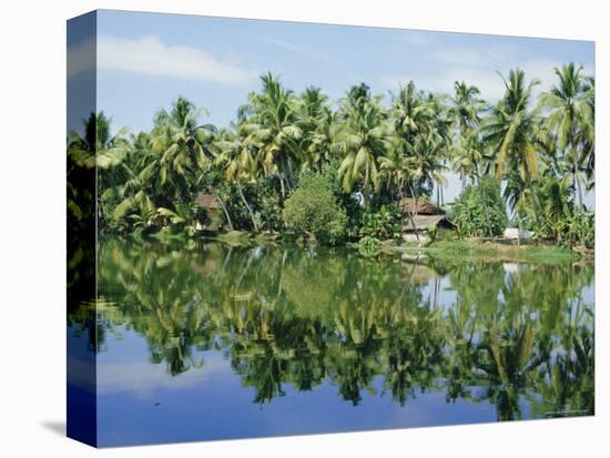 The Backwaters Near Kumarakom, Kerala State, India, Asia-Jenny Pate-Premier Image Canvas