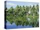 The Backwaters Near Kumarakom, Kerala State, India, Asia-Jenny Pate-Premier Image Canvas