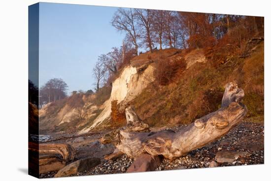 The Baltic Sea, National Park Jasmund, Chalk Rocks-Catharina Lux-Premier Image Canvas