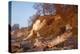 The Baltic Sea, National Park Jasmund, Chalk Rocks-Catharina Lux-Premier Image Canvas