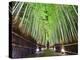 The Bamboo Forest of Kyoto, Japan-Sean Pavone-Premier Image Canvas