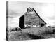The Barn of an Older Settler-Dorothea Lange-Stretched Canvas
