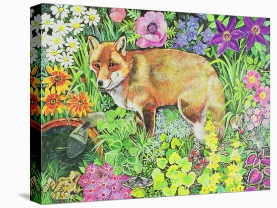 The Barnet Fox-Hilary Jones-Premier Image Canvas