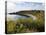 The Bay from the Clifftop at Catterline, Aberdeenshire, Scotland, United Kingdom, Europe-Mark Sunderland-Premier Image Canvas
