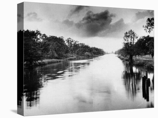 The Bayou Teche in Louisiana-null-Premier Image Canvas