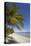 The beach at San Juan on the southwest coast of Siquijor, Philippines, Southeast Asia, Asia-Nigel Hicks-Premier Image Canvas