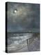 The Beach Fence I-David Swanagin-Stretched Canvas