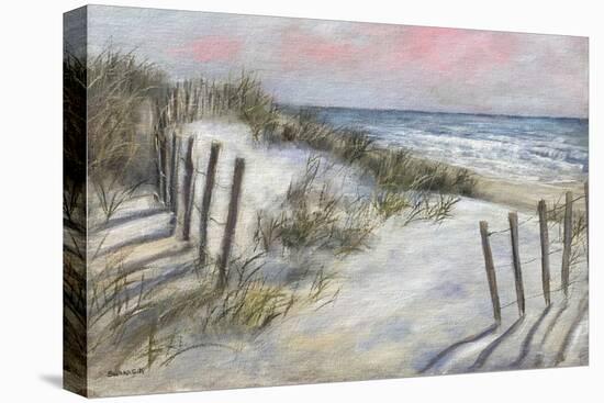The Beach Fence II-David Swanagin-Stretched Canvas