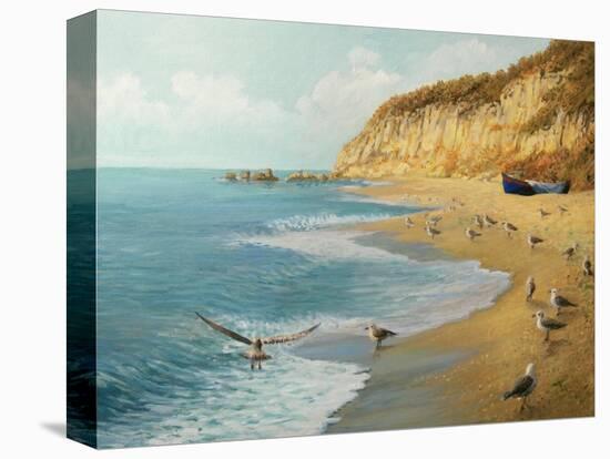The Beach-kirilstanchev-Stretched Canvas