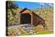 The Beautiful Bridgeport Covered Bridge over South Fork of Yuba River in Penn Valley, California-John Alves-Premier Image Canvas