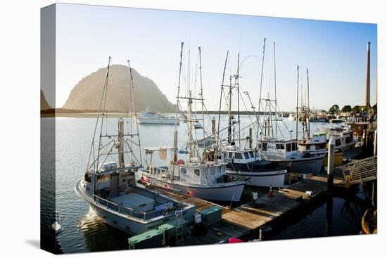 The Beautiful Scenes of Morro Bay, California-Daniel Kuras-Premier Image Canvas
