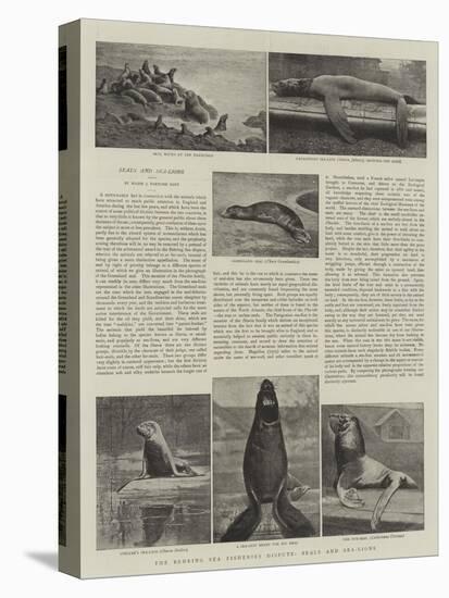 The Behring Sea Fisheries Dispute, Seals and Sea-Lions-null-Premier Image Canvas