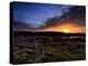 The Bench-Doug Chinnery-Premier Image Canvas