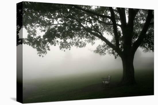 The Bench-PhotoINC-Premier Image Canvas