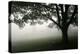 The Bench-PhotoINC-Premier Image Canvas