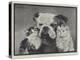 The Best of Friends-Lilian Cheviot-Premier Image Canvas