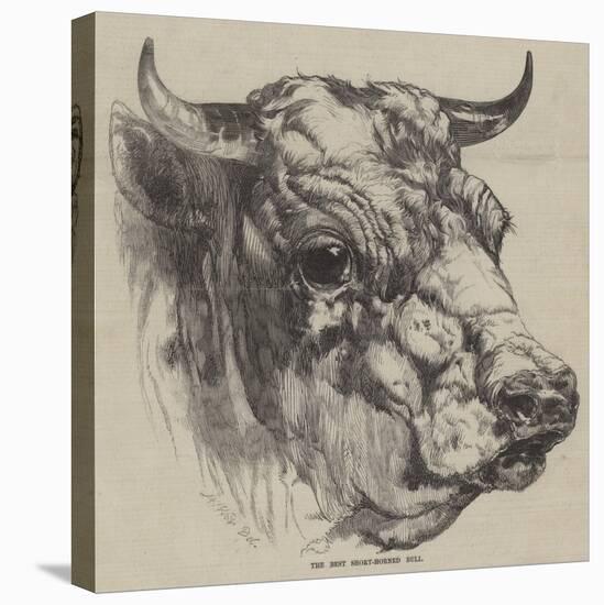 The Best Short-Horned Bull-Harrison William Weir-Premier Image Canvas