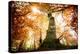 the big red oak-Philippe Manguin-Premier Image Canvas