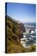 The Big Sur Coastline of California-Andrew Shoemaker-Premier Image Canvas