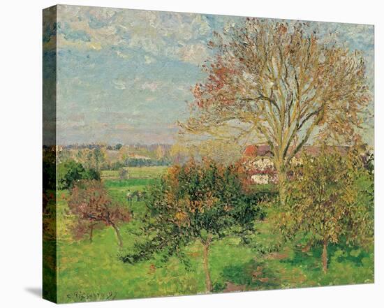 The big walnut tree, autumn morning, Éragny-Camille Pissarro-Stretched Canvas